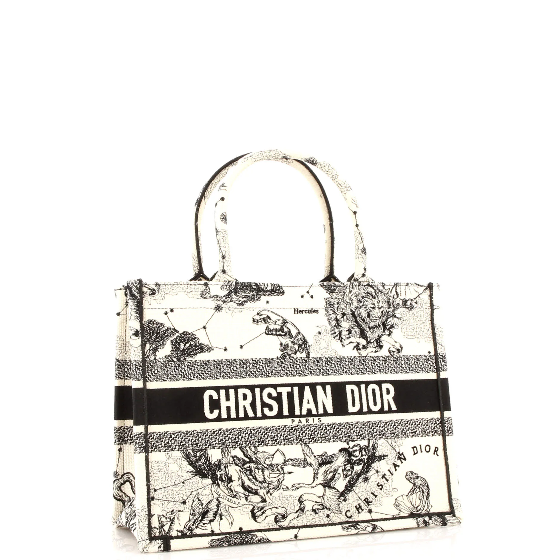 Book Tote Embroidered Canvas Medium
