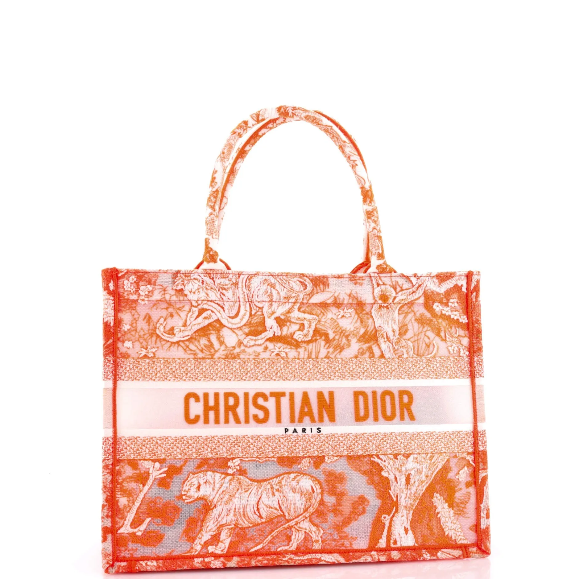 Book Tote Embroidered Transparent Canvas Medium