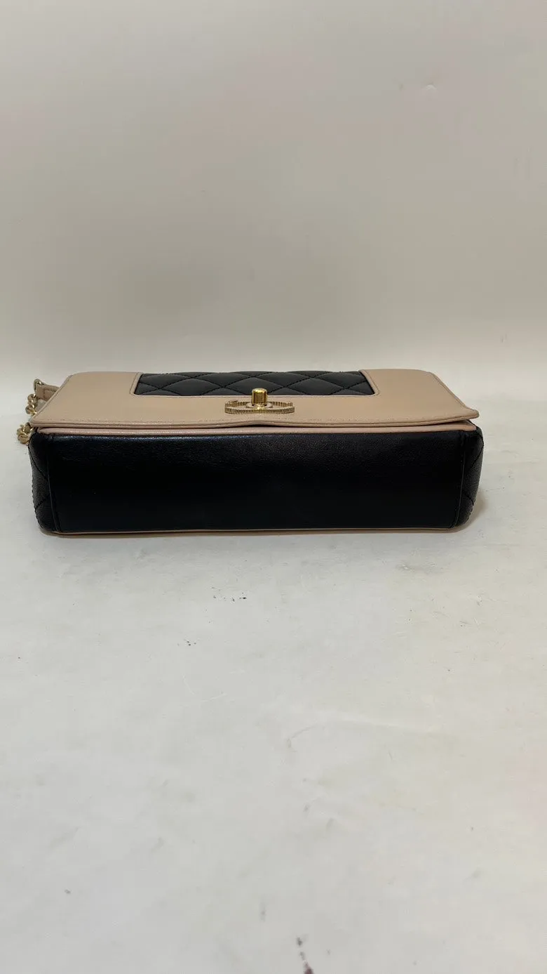 Chanel Double Flap Chain Bag Beige & Black Leather Shoulder Bag