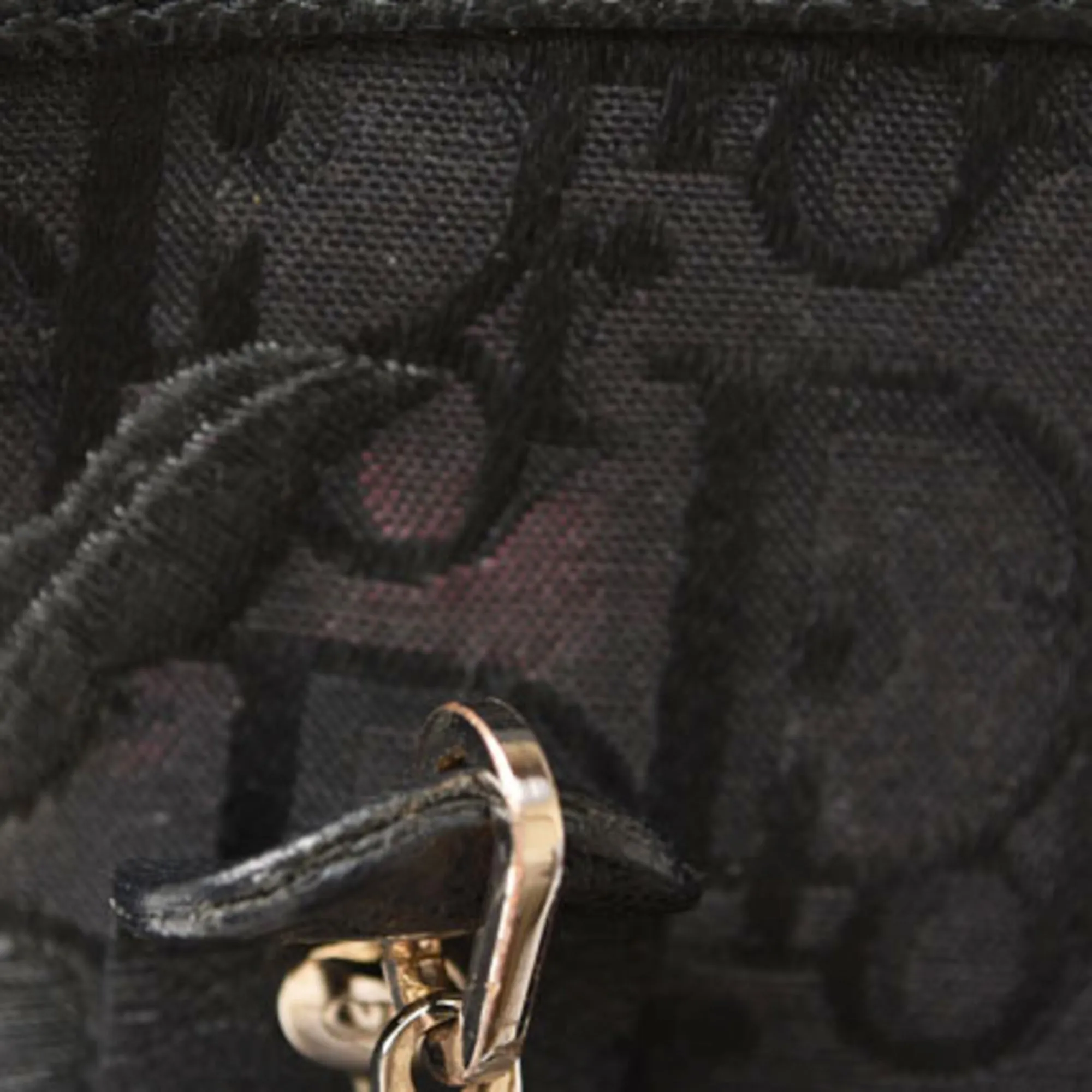 CHRISTIAN DIOR Tote Bag Embroidered Trotter Flower Embroidery Black