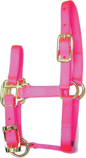 Hamilton 3/4-Inch Adjustable Quality Horse Halter, Pony or Average Miniature Donkey, Hot Pink