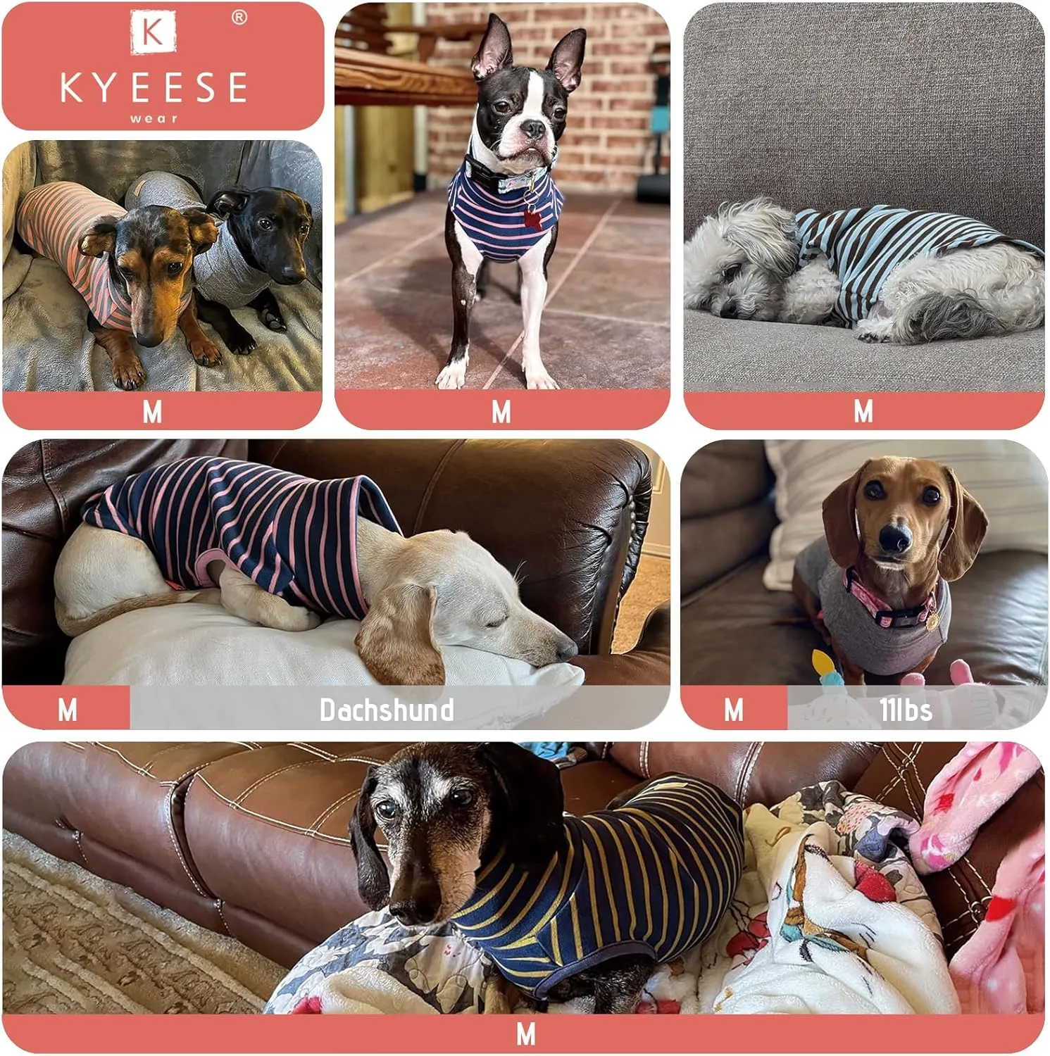 KYEESE 2Pack Dog Sweater and Coats - Soft, Warm Stretchy Dog Sweatshirts with Turtleneck for Small Dachshund Dogs: Girl & Boy Pullover Classic Black