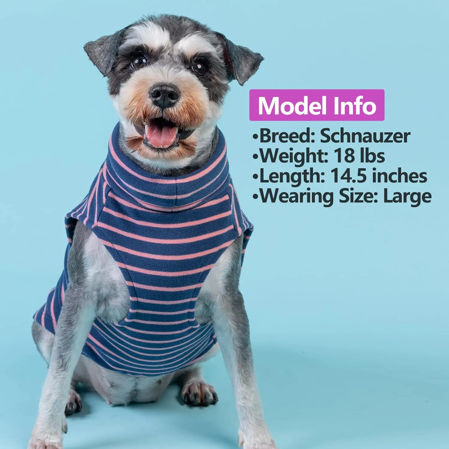 KYEESE 2Pack Dog Sweater and Coats - Soft, Warm Stretchy Dog Sweatshirts with Turtleneck for Small Dachshund Dogs: Girl & Boy Pullover Classic Black