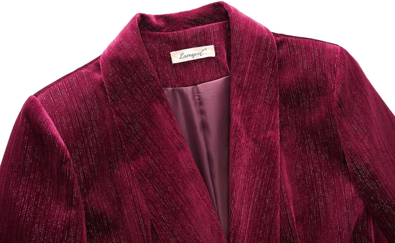 Lamgool Women Pantsuit Dressy Silver Thread Velvet 2 Piece Suit Set Blazer and Flared Pants