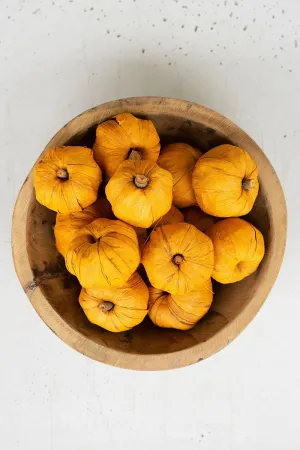 Miniature Faux Pumpkins
