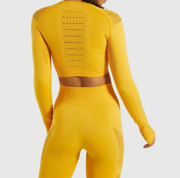 Seamless Yoga Sets High Waist Gym Suit