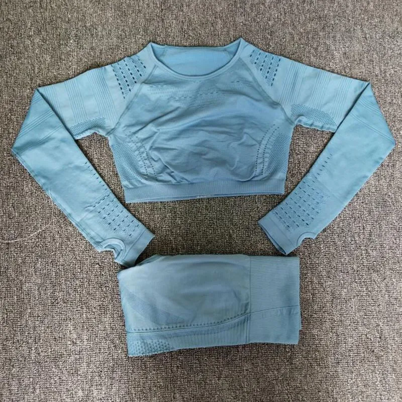 Seamless Yoga Sets High Waist Gym Suit