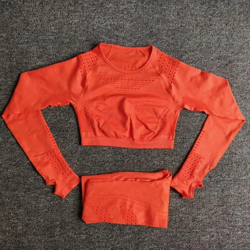 Seamless Yoga Sets High Waist Gym Suit