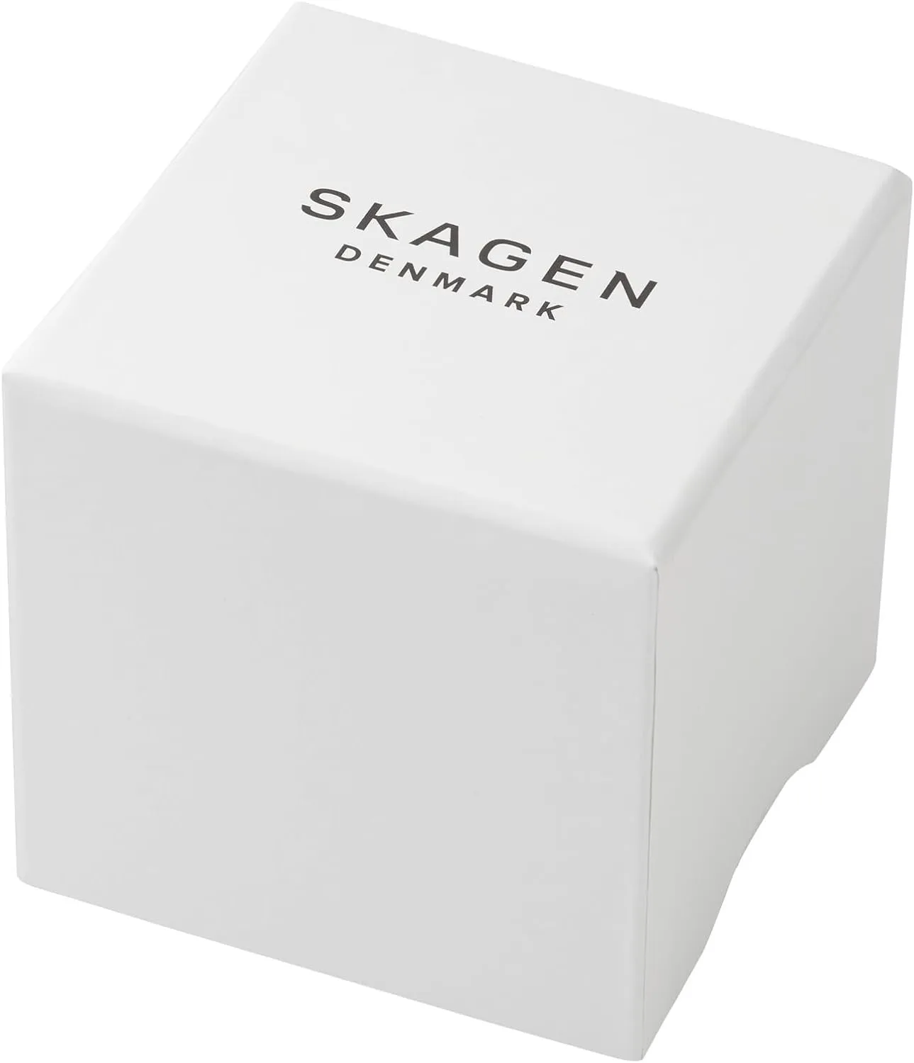 Skagen Kuppel or Riis Minimalist Men's Watch with Stainless Steel Mesh or Leather Band