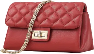 Small Crossbody Bags for Women Designer Quilted Leather Womens Crossbody Handbags Purses Cute Chain Strap Shoulder Bag