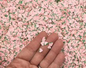 Small Pink Peach Polymer Clay Slices, Miniature Faux Fruit Sprinkles for Nail Art, Crafts, Fake Bake, Slime, Decoden (30 gram bag)