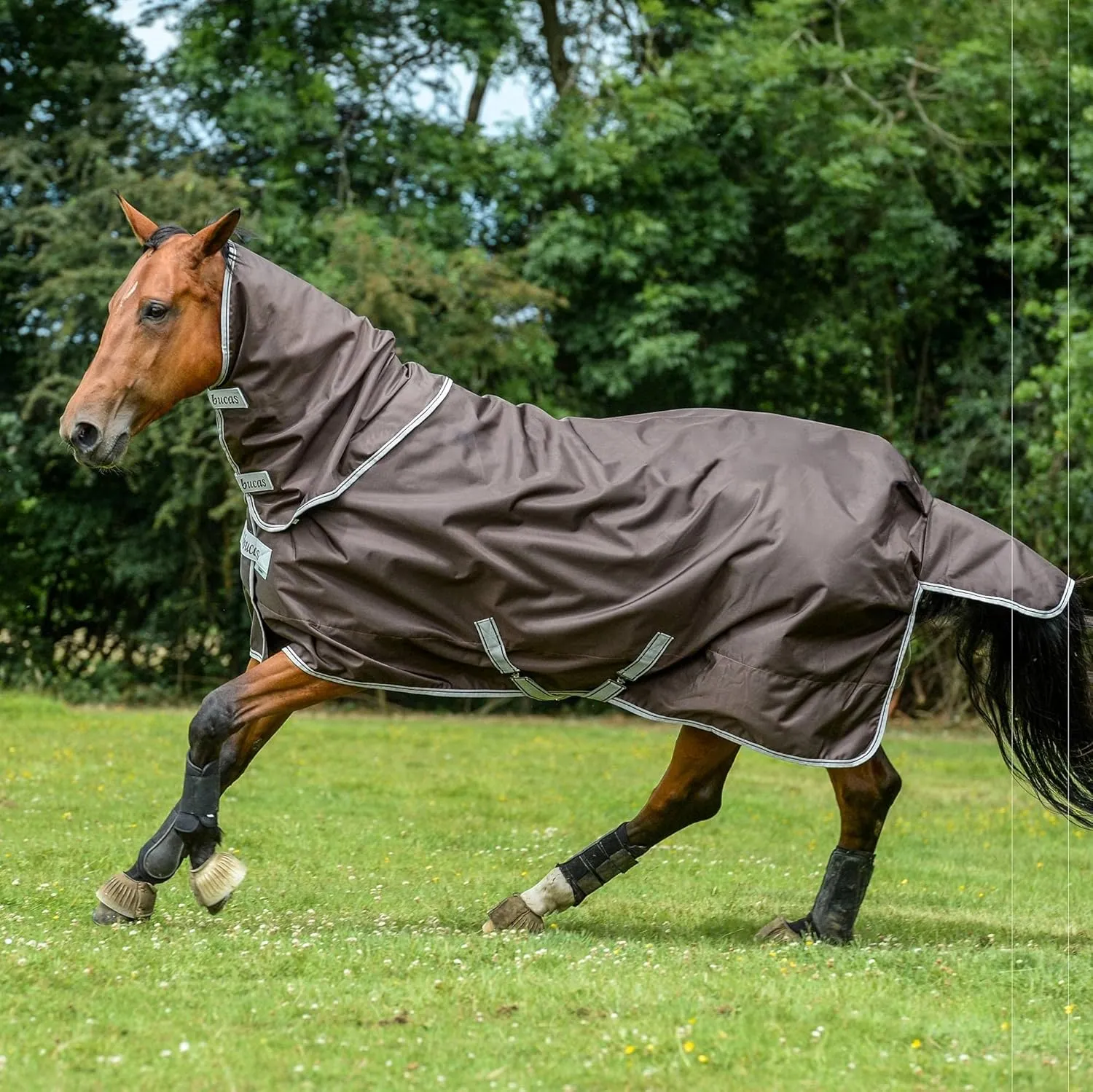 SMARTEX Extra - Chocolate, 84"