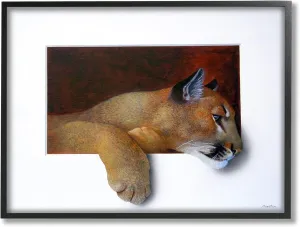 Stupell Industries Wild Cougar Resting Head Interesting Illusion Painting, Design by Alan Weston