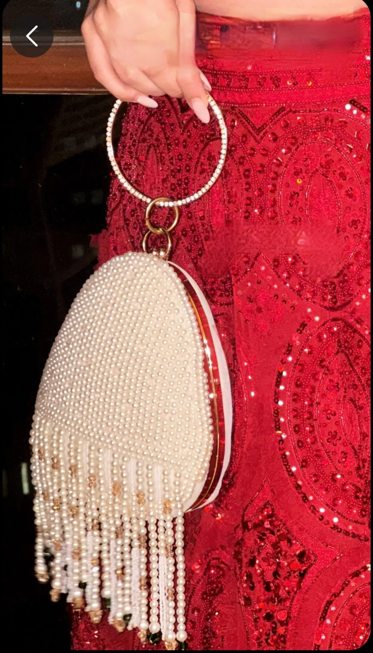 Sukriti Kakar LA Pearl Handembroidered Tassel Clutch (With minor imperfections)